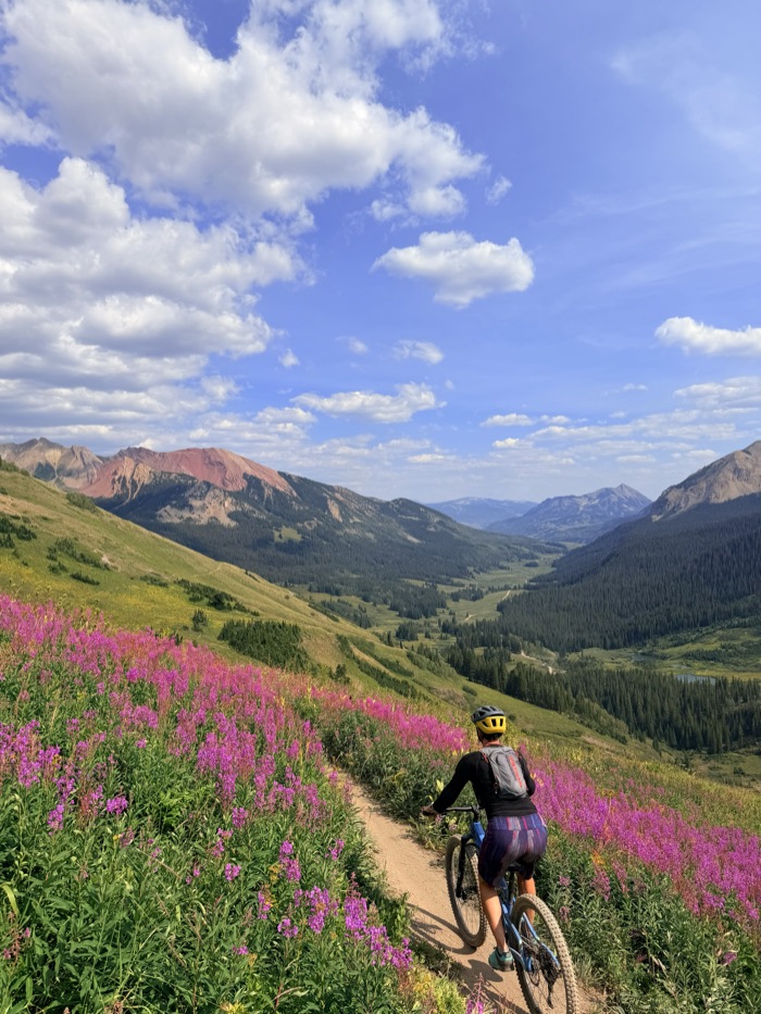 A rider descending the 401 Trail through blooming fireweed with the Elk Mountains beyond