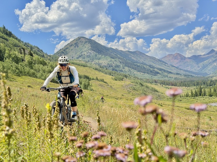 A rider on singletrack with wildflowers in the foreground and peaks behind